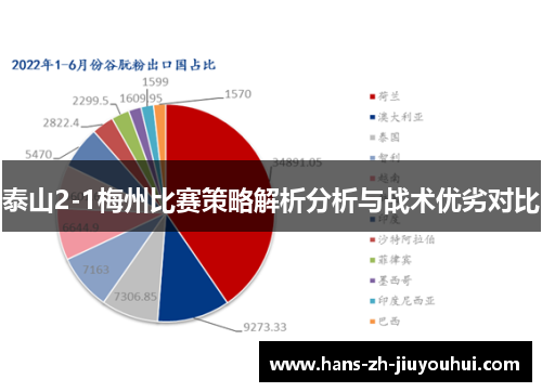 泰山2-1梅州比赛策略解析分析与战术优劣对比