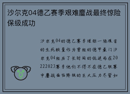 沙尔克04德乙赛季艰难鏖战最终惊险保级成功